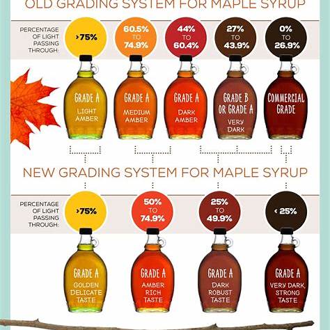 Les différentes classes de sirop d'érable