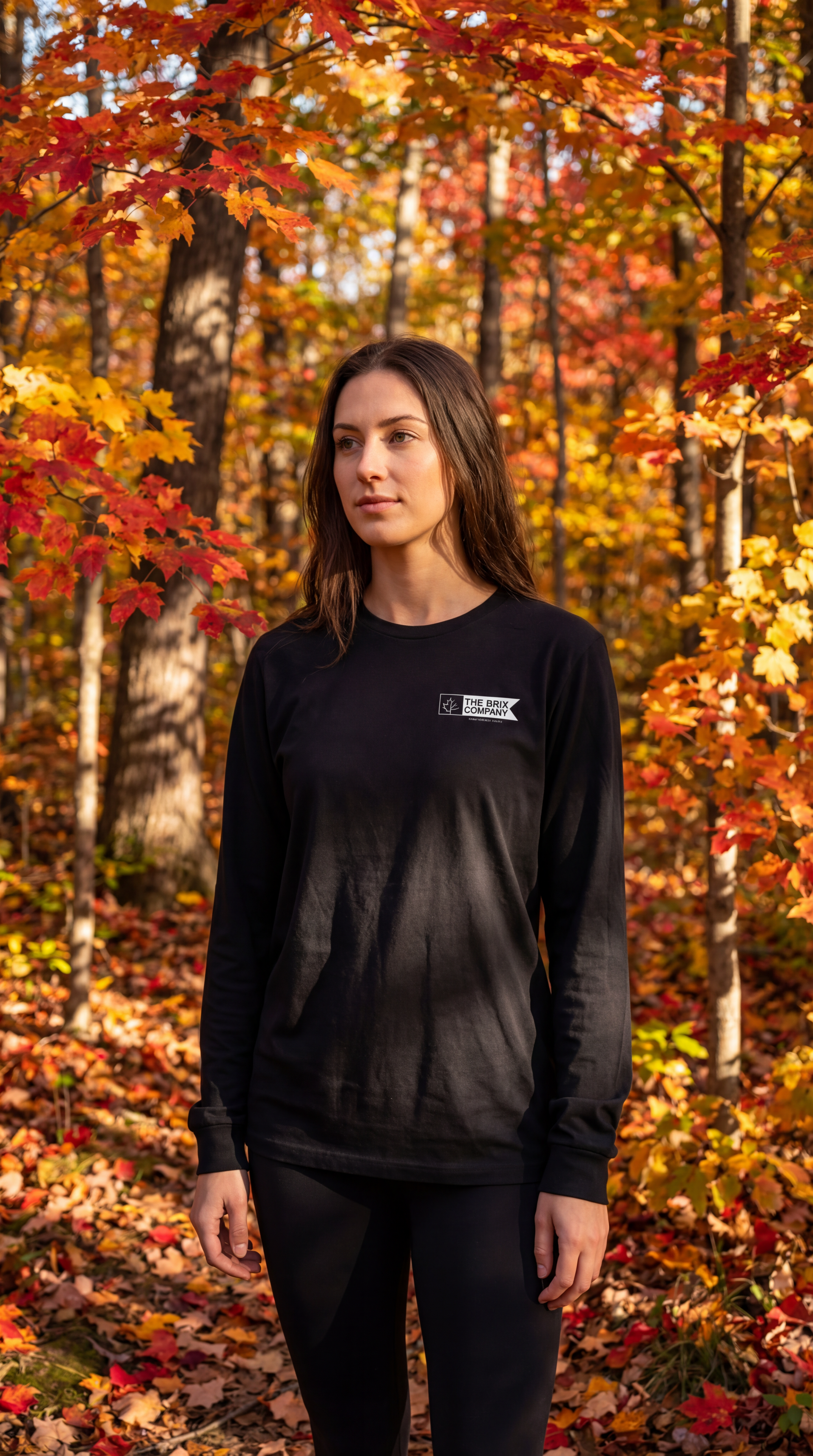 Chandail The Brix Company